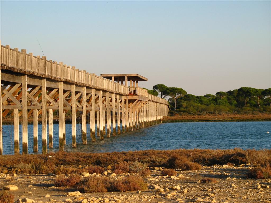 Foto de Puerto Real (Cádiz), España
