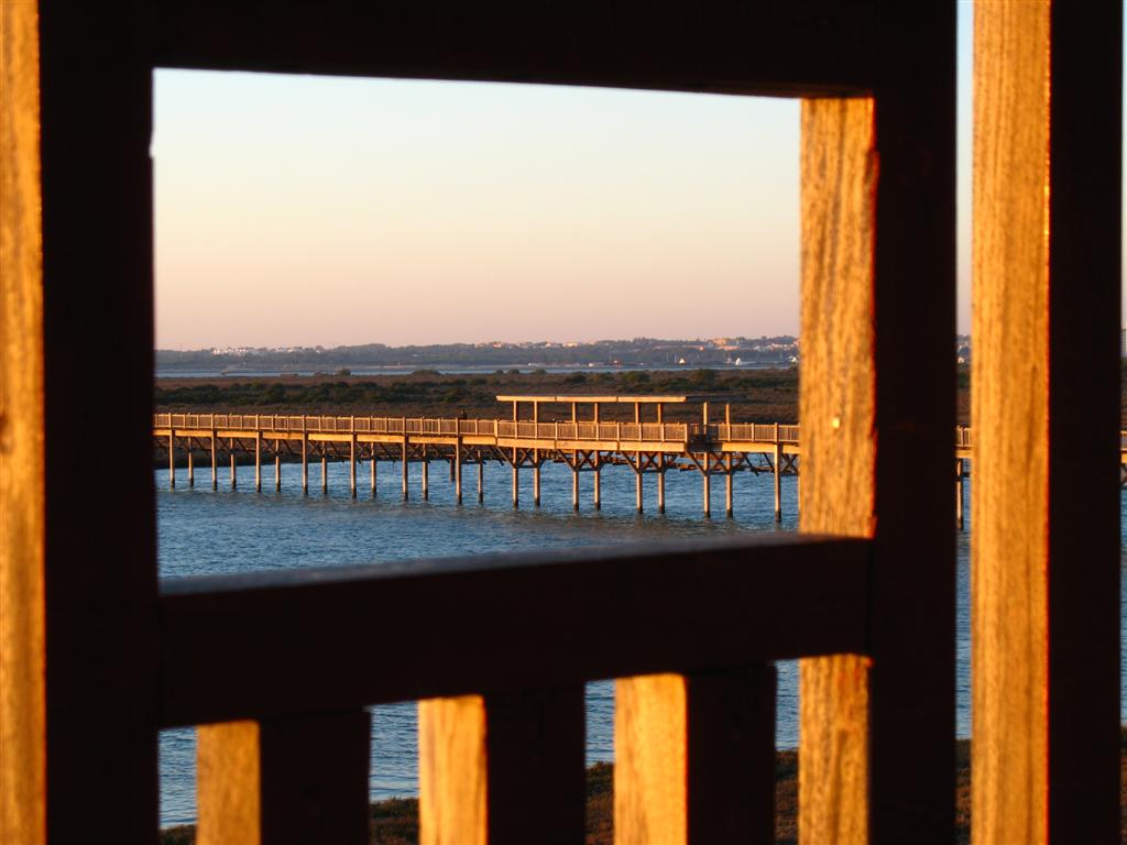 Foto de Puerto Real (Cádiz), España