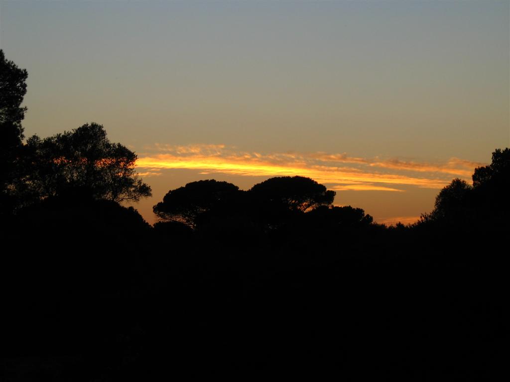Foto de Puerto Real (Cádiz), España