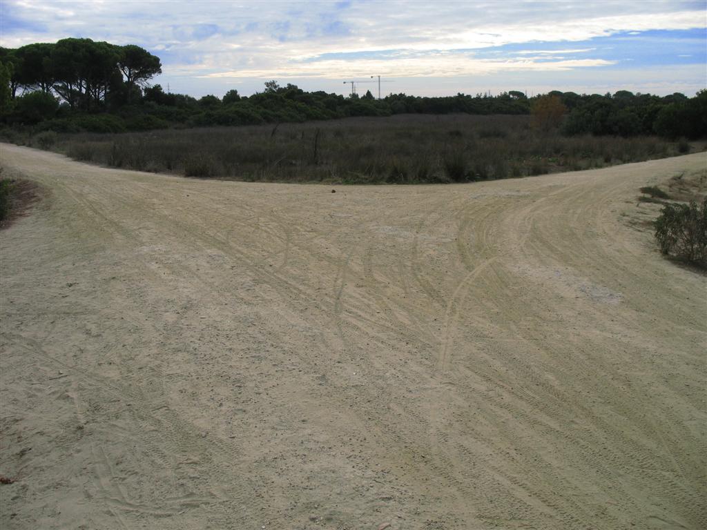 Foto de Puerto Real (Cádiz), España