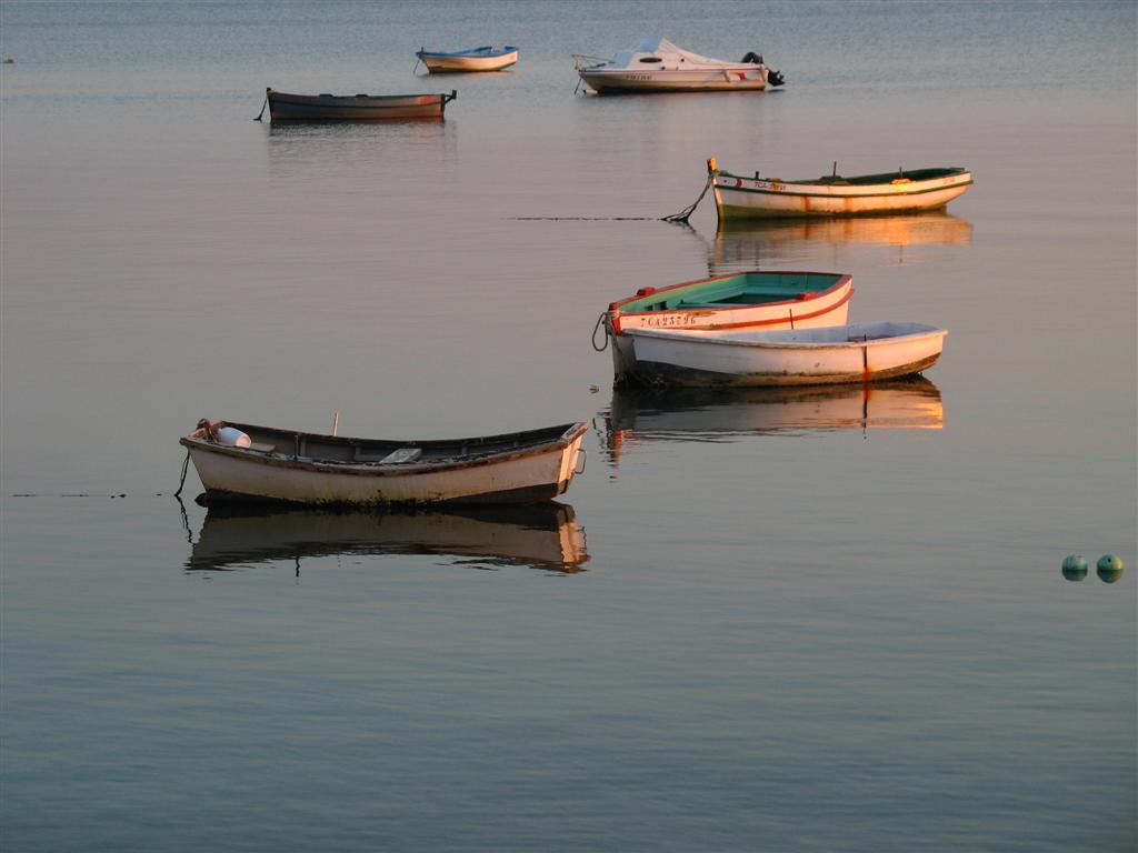 Foto de Puerto Real (Cádiz), España