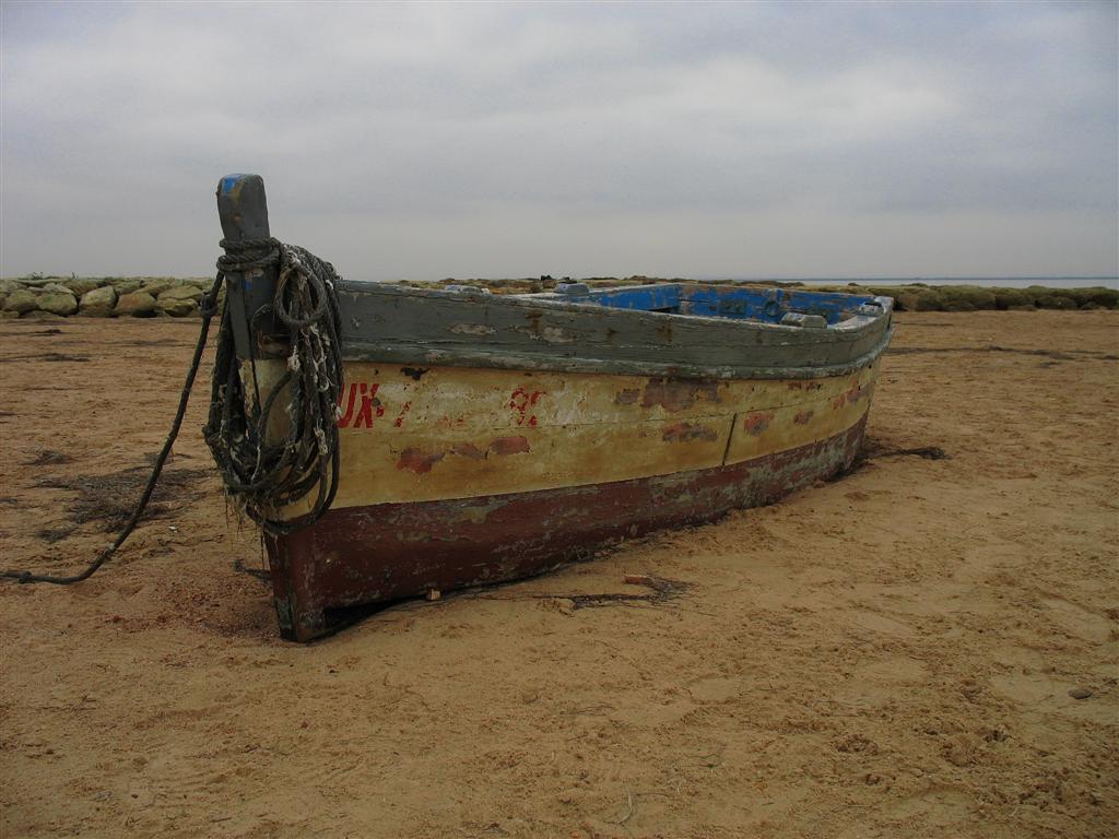 Foto de Puerto Real (Cádiz), España