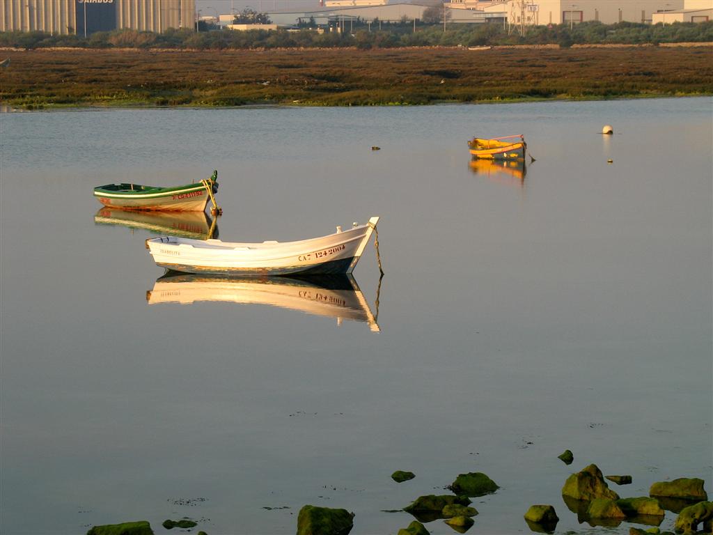 Foto de Puerto Real (Cádiz), España