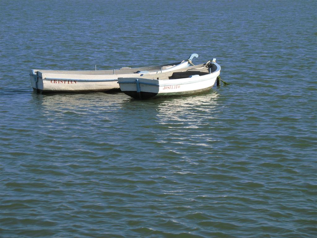 Foto de Puerto Real (Cádiz), España