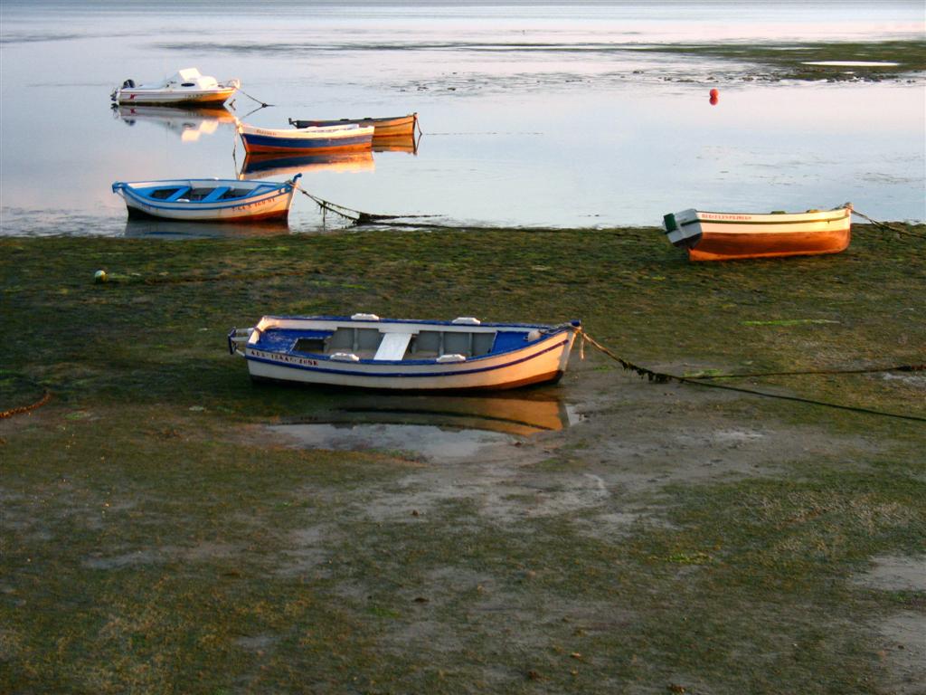 Foto de Puerto Real (Cádiz), España