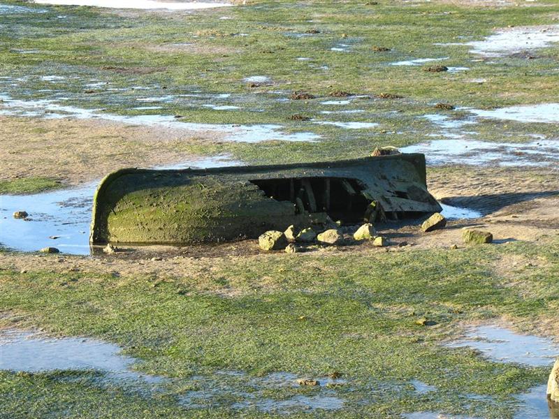 Foto de Puerto Real (Cádiz), España