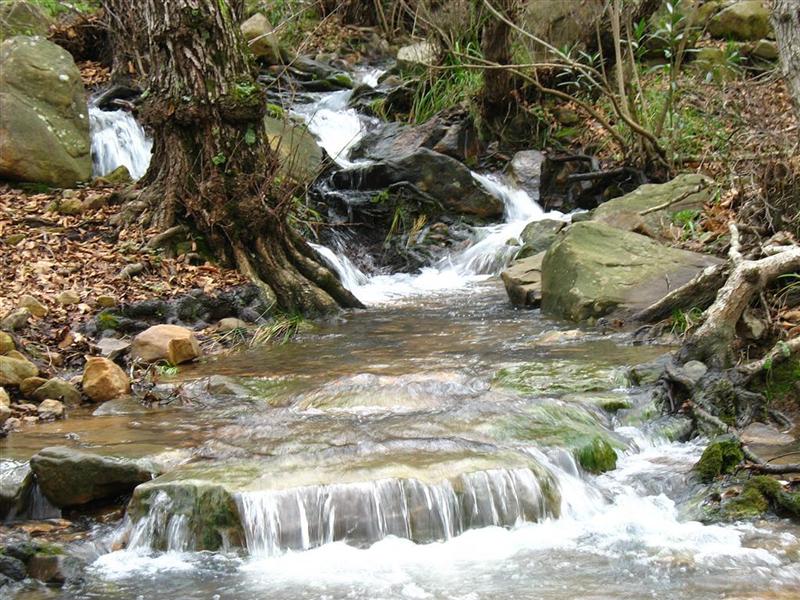 Foto de El Cobre (Cádiz), España