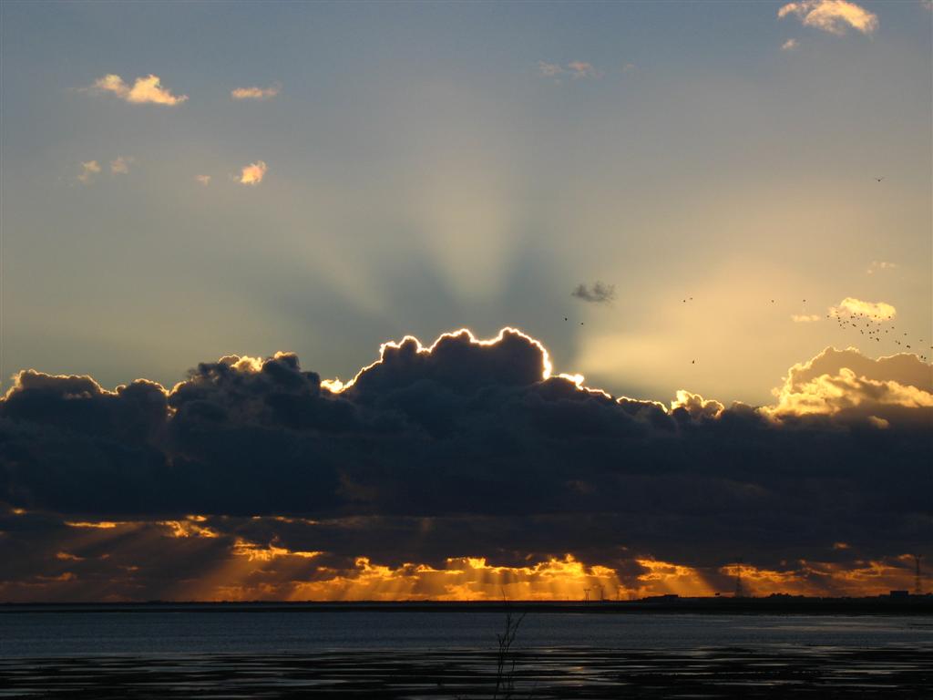 Foto de Puerto Real (Cádiz), España