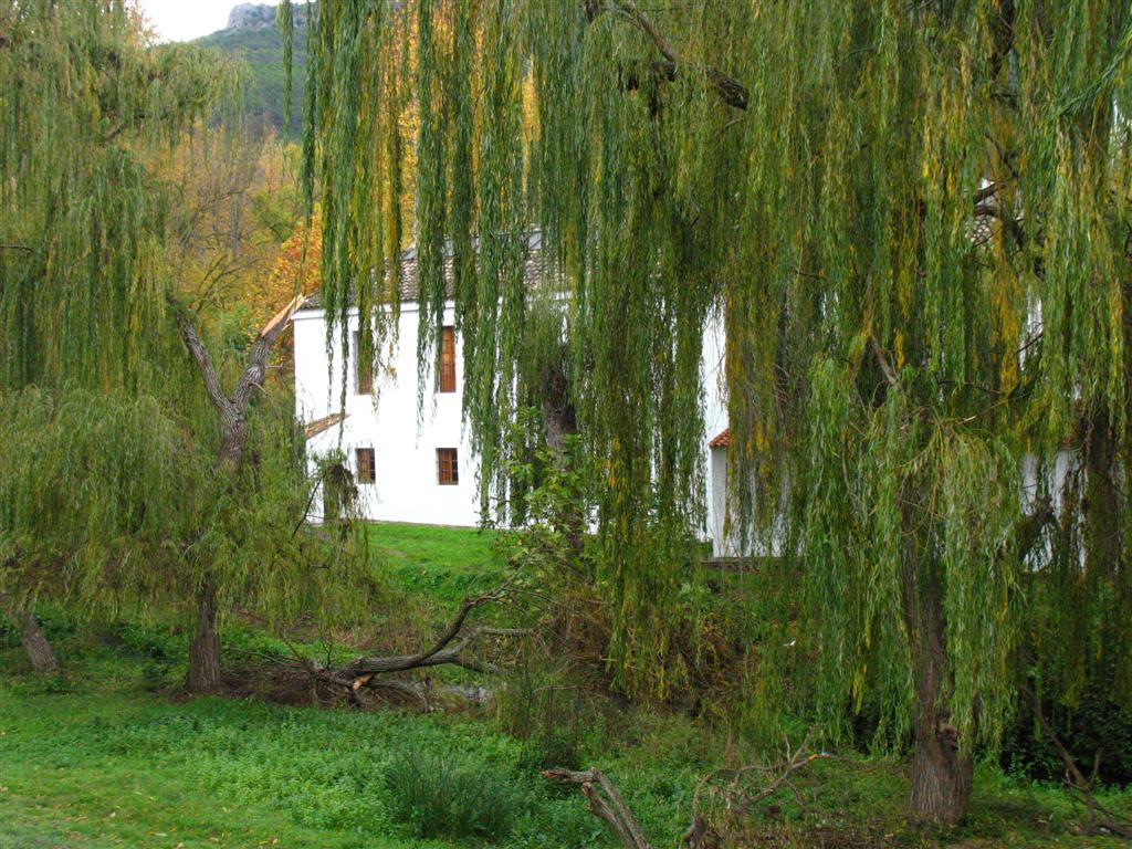 Foto de El Bosque (Cádiz), España
