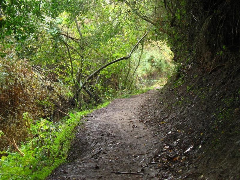 Foto de El Bosque (Cádiz), España