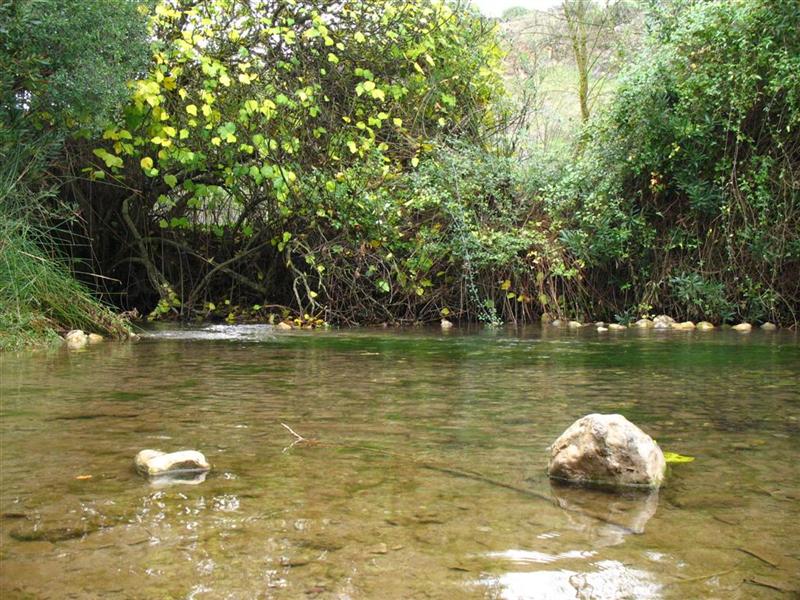 Foto de El Bosque (Cádiz), España