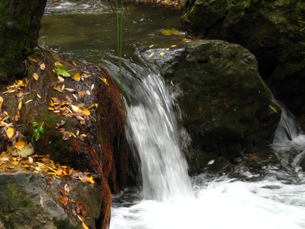 Foto de El Bosque (Cádiz), España
