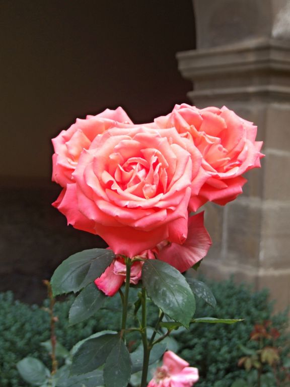 Foto de Santo Toribio de Liebana (Cantabria), España