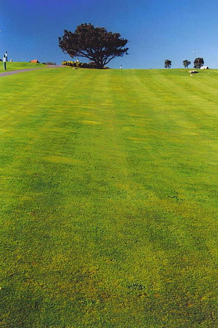 Foto de A Coruña (Galicia), España