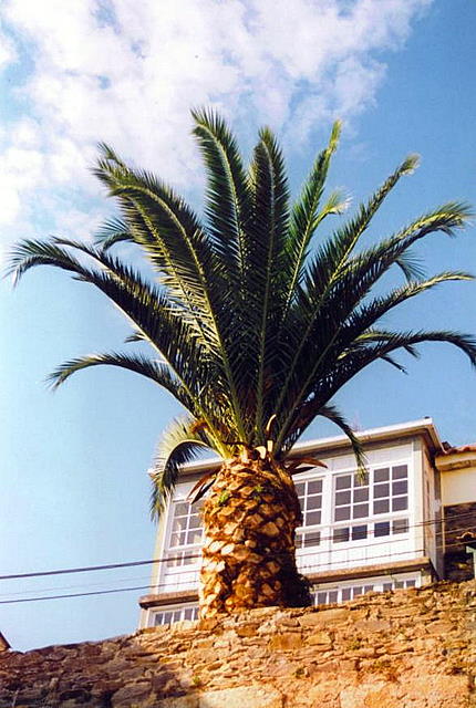 Foto de Redes (A Coruña), España