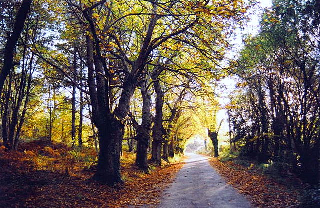 Foto de Mugardos (A Coruña), España