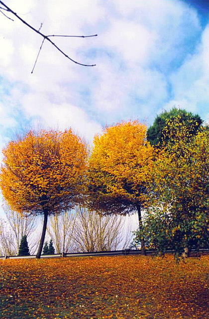 Foto de A Coruña (Galicia), España