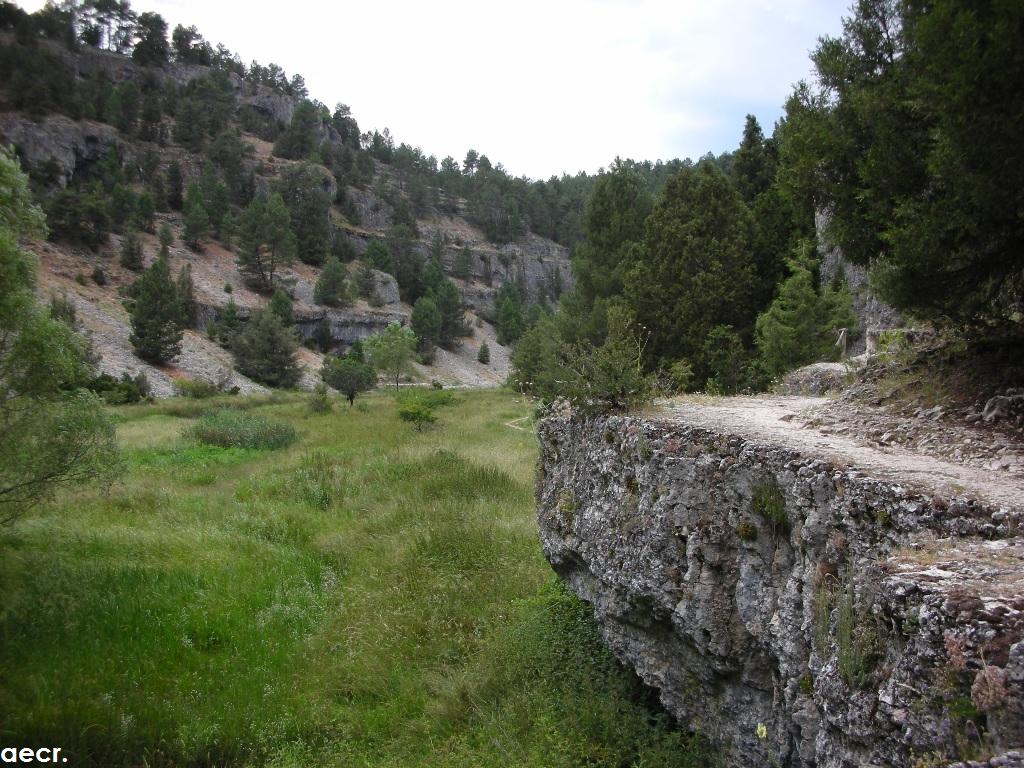 Foto de Ucero (Soria), España