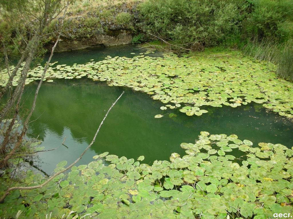 Foto de Ucero (Soria), España