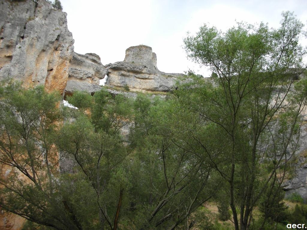 Foto de Ucero (Soria), España