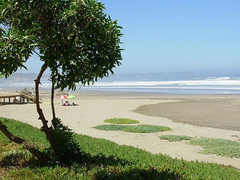 Foto de Maitencillo, Chile