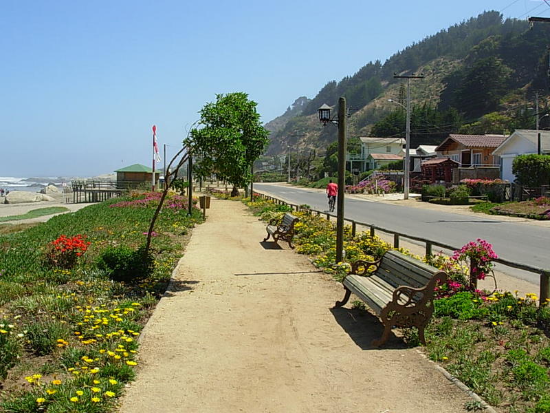 Foto de Maitencillo, Chile