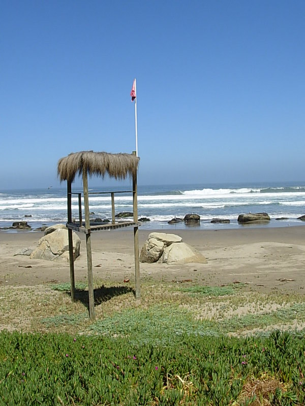 Foto de Maitencillo, Chile