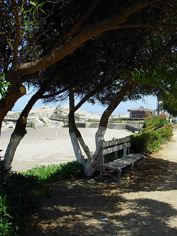 Foto de Maitencillo, Chile