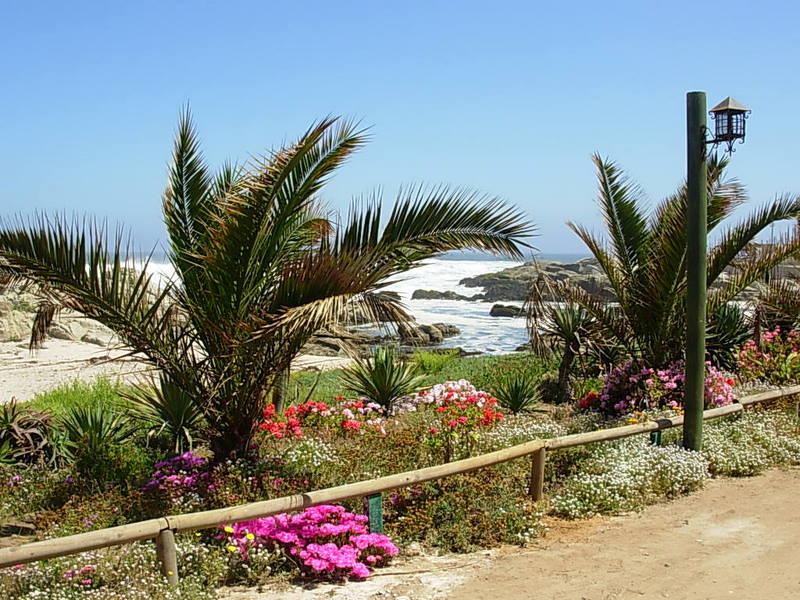 Foto de Maitencillo, Chile