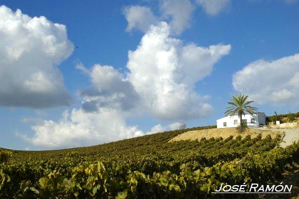 Foto de Jerez de la Frontera (Cádiz), España
