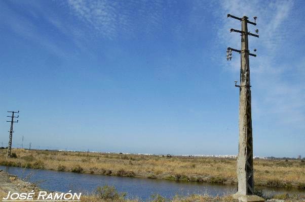 Foto de Puerto Real (Cádiz), España