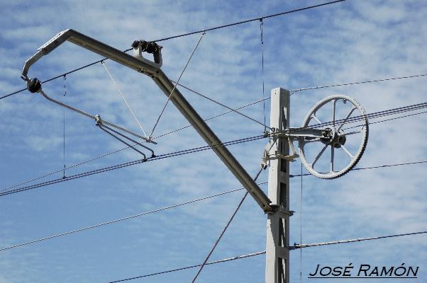 Foto de Puerto Real (Cádiz), España