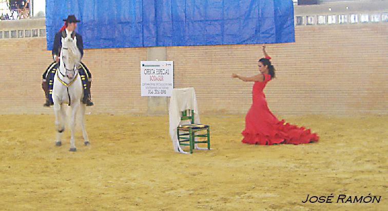 Foto de Jerez de la Frontera (Cádiz), España