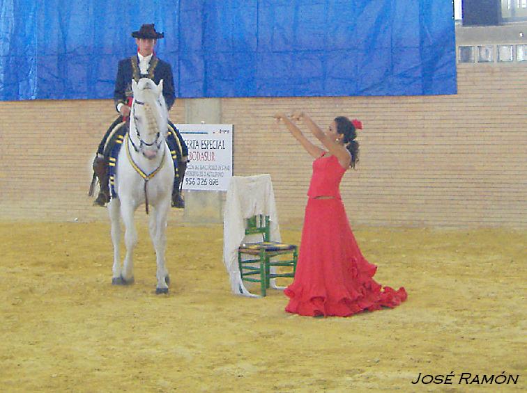 Foto de Jerez de la Frontera (Cádiz), España