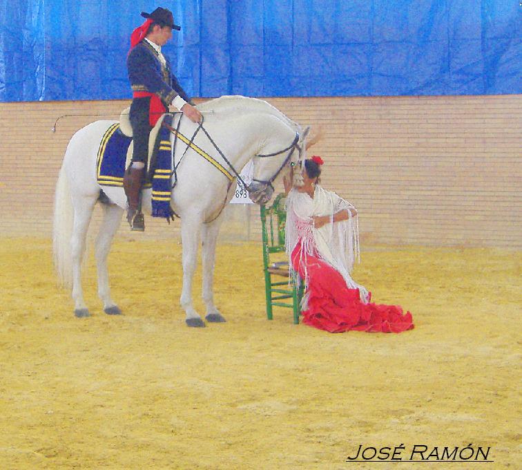 Foto de Jerez de la Frontera (Cádiz), España
