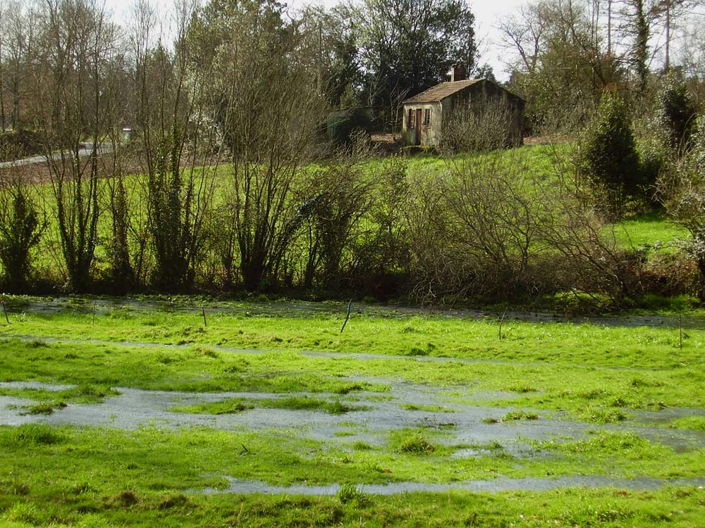 Foto de Cerceda (A Coruña), España