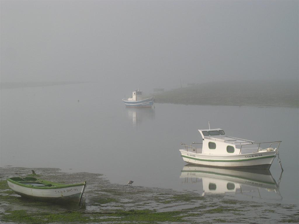 Foto de Puerto Real (Cádiz), España
