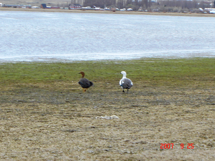 Foto de El Calafate, Santa Cruz, Argentina