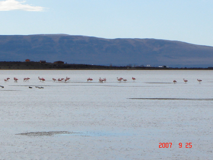 Foto de El Calafate, Santa Cruz, Argentina