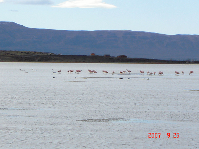 Foto de El Calafate, Santa Cruz, Argentina