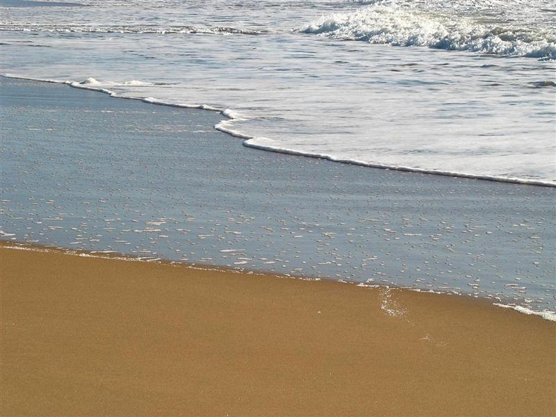 Foto de Cádiz (Andalucía), España