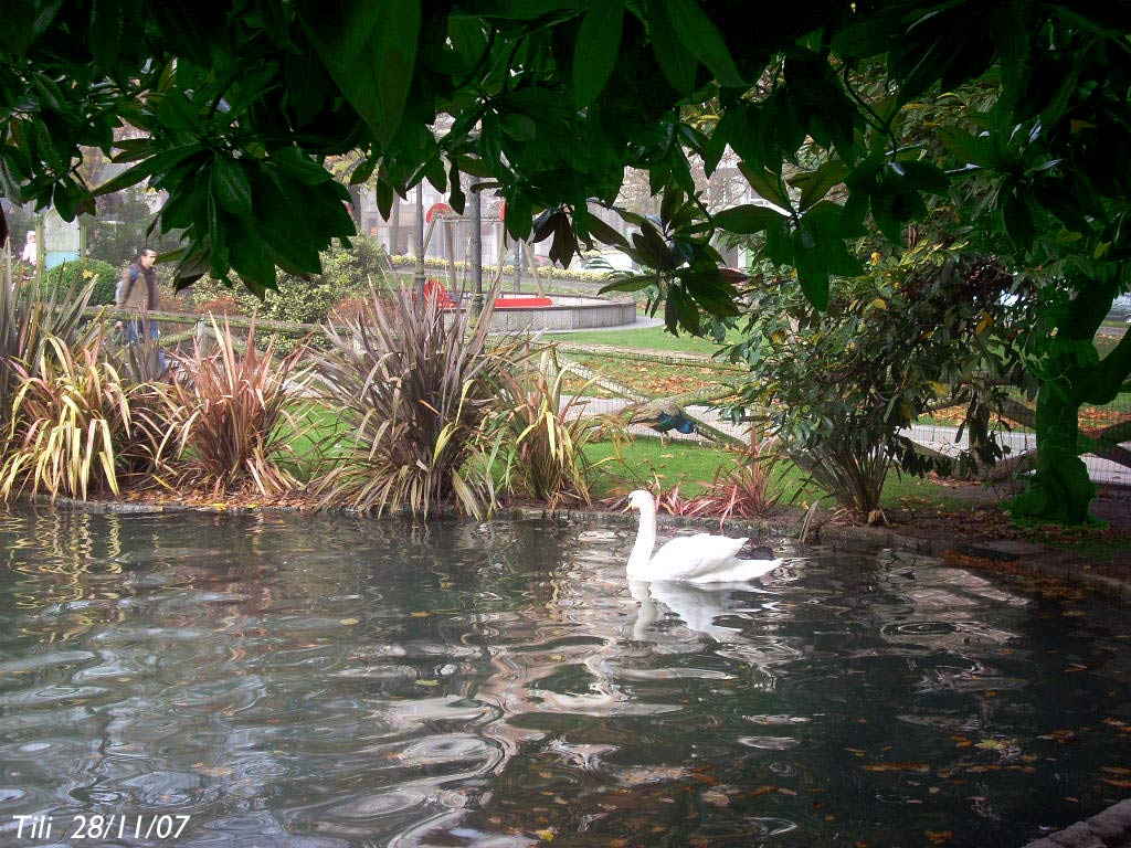 Foto de Oviedo (Asturias), España