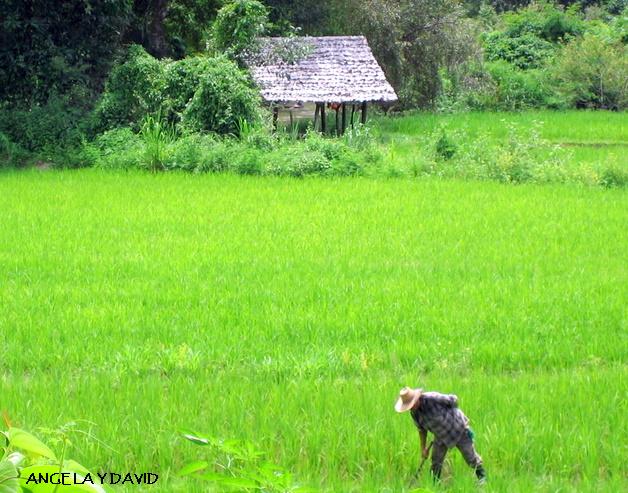 Foto de Chiang Mai, Tailandia