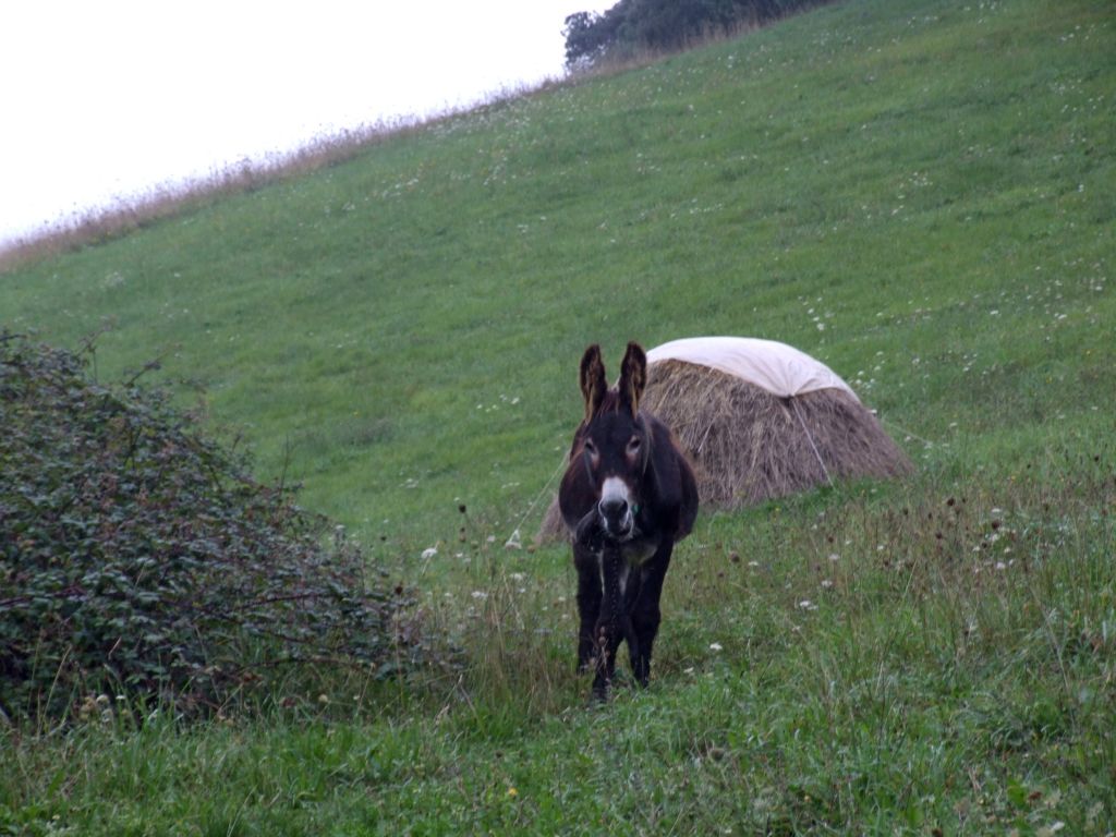 Foto de Santoña (Cantabria), España