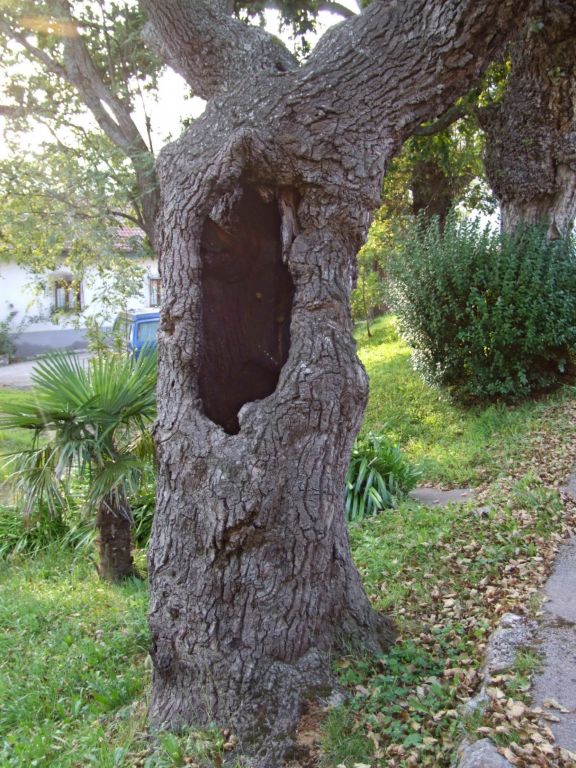 Foto de Sobremazas (Cantabria), España