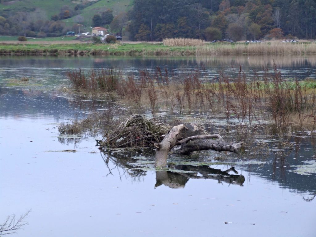 Foto de Unquera (Cantabria), España