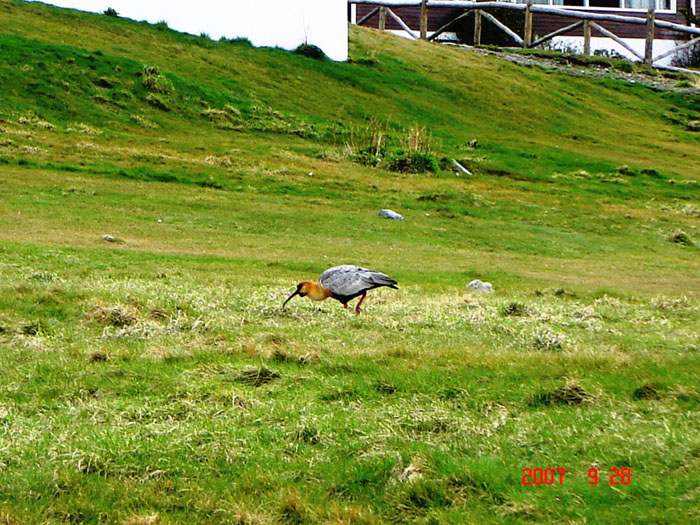 Foto de Ushuaia, Tierra del Fuego, Argentina