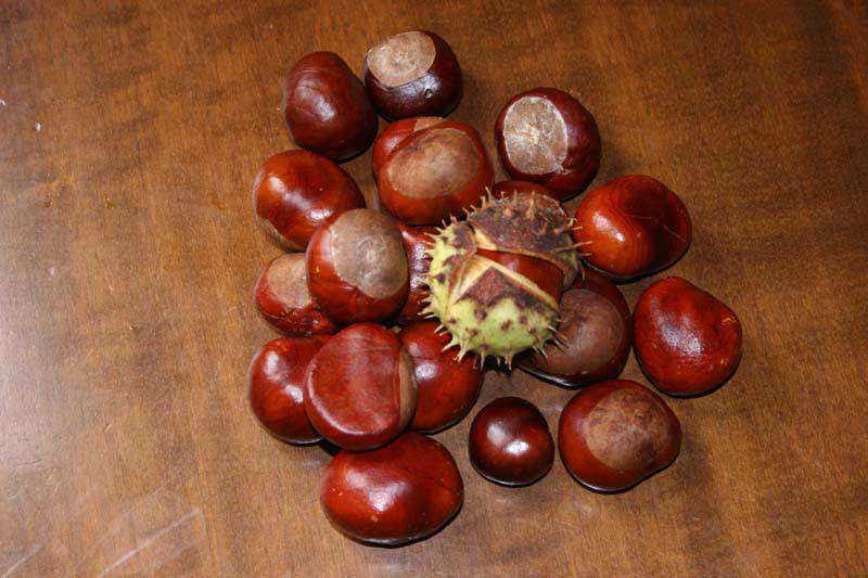 Foto de Oviedo (Asturias), España