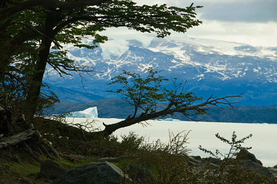 Foto de El Calafate, Argentina