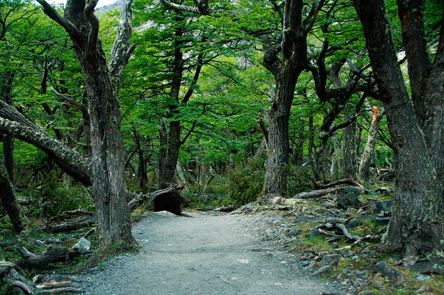 Foto de El Calafate, Argentina